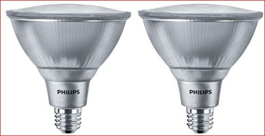 Photo 1 of Philips LED Indoor/Outdoor Dimmable PAR38 1200-Lumen, 5000-Kelvin, 14-Watt (120 V)(120-Watt Replacement) Flood Light Bulb, E26 Medium Base, Daylight, 2-Pack