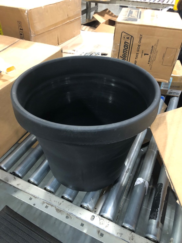 Photo 3 of Bloem Terra Pot 16" Planter - Black