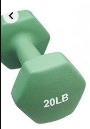 Photo 1 of Basics Neoprene Dumbbell Hand Weight, 20 Pound, Light Green