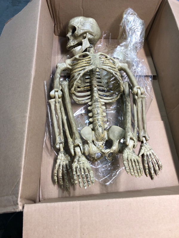 Photo 2 of DUBEDAT 42”/108cm Halloween Skeleton- Full Body Halloween Skeleton with Movable Joints for Best Halloween Decoration