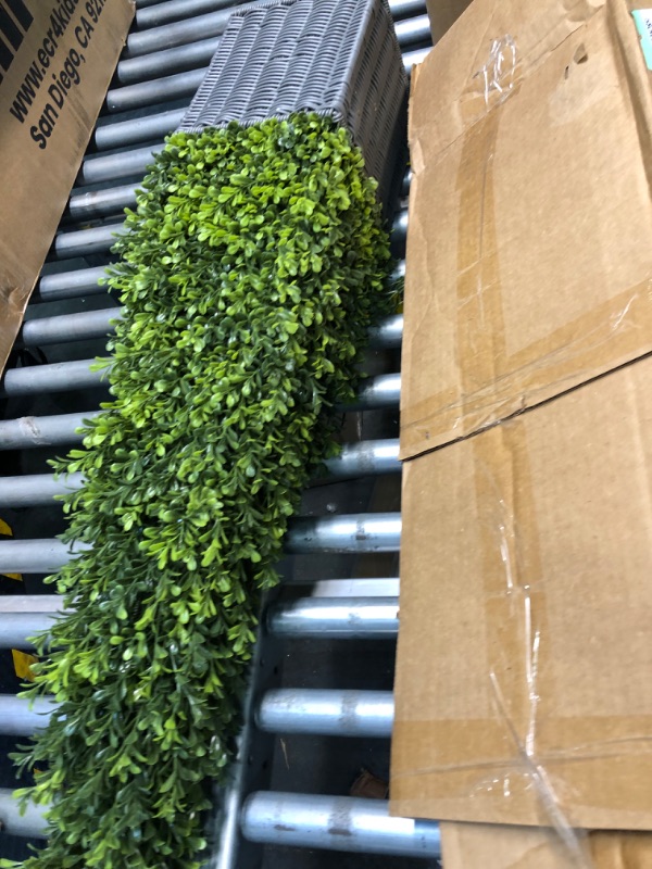 Photo 1 of 2 Pack 3FT Artificial Boxwood Topiary Christmas Tree with 60 LED, 36” Potted Boxwood Tree Christmas Topiary Cone Artificial Plant Shrub for Front Porch Home Office Decor