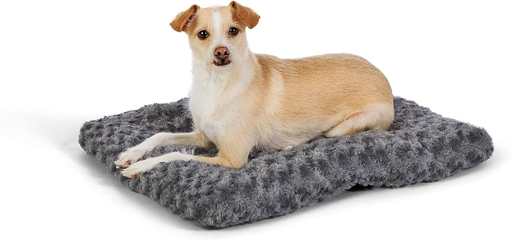 Photo 1 of Amazon Basics Plush Pet Bed and Dog Crate Pad 23x35