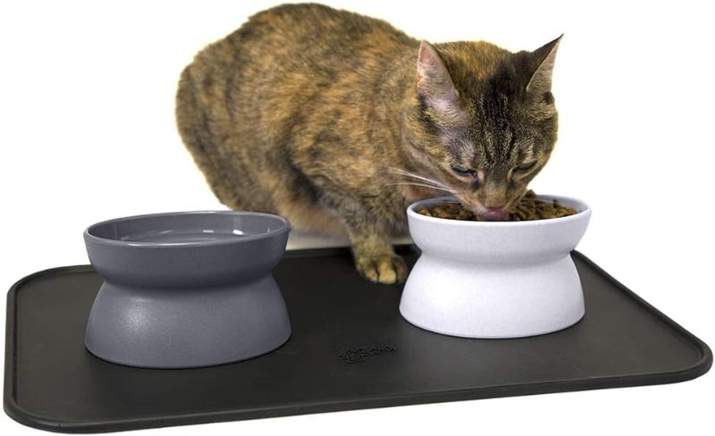 Photo 3 of 
Kitty City Raised Cat Food Bowl Collection/Stress Free Pet Feeder and Waterer and Slow Feed Bowls