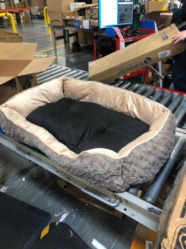 Photo 1 of 35"x25" Dog Bed