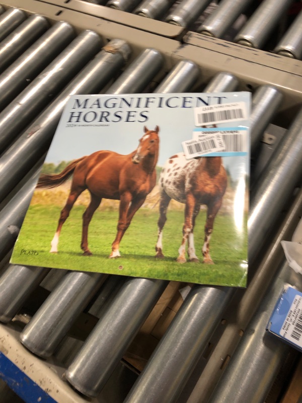 Photo 2 of Magnificent Horses Calendar 2024 - Deluxe 2024 Horses Wall Calendar Bundle with Over 100 Calendar Stickers (Equestrian Gifts, Office Supplies)