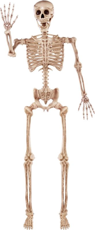 Photo 1 of ** Missing bones ** JOYIN 5.6 FT Halloween Posable Life Size Skeleton Full Body Realistic Bones with Movable Joints for Halloween Indoor and Outdoor Decoration