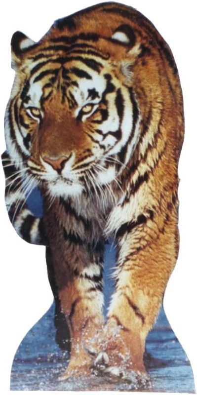 Photo 1 of Advanced Graphics Hollywood tiger Color Cardboard Stand-Up