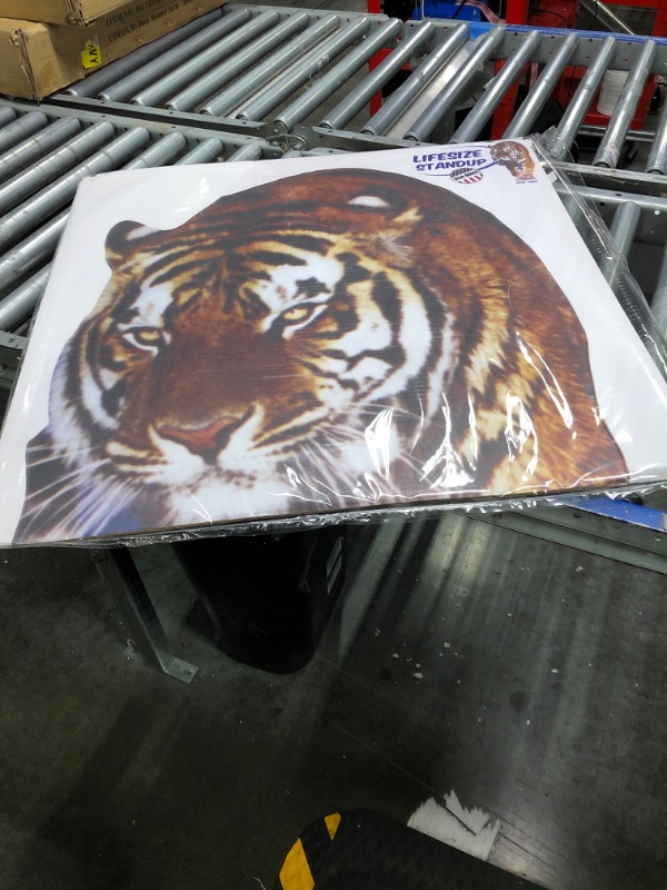 Photo 3 of Advanced Graphics Hollywood tiger Color Cardboard Stand-Up