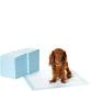 Photo 1 of Amazon Basics Leak-Proof, 5-Layer, Scented Dog Pee Pads for Potty Training, 22x22 inches-Pack of 100 100 Count Regular Scented