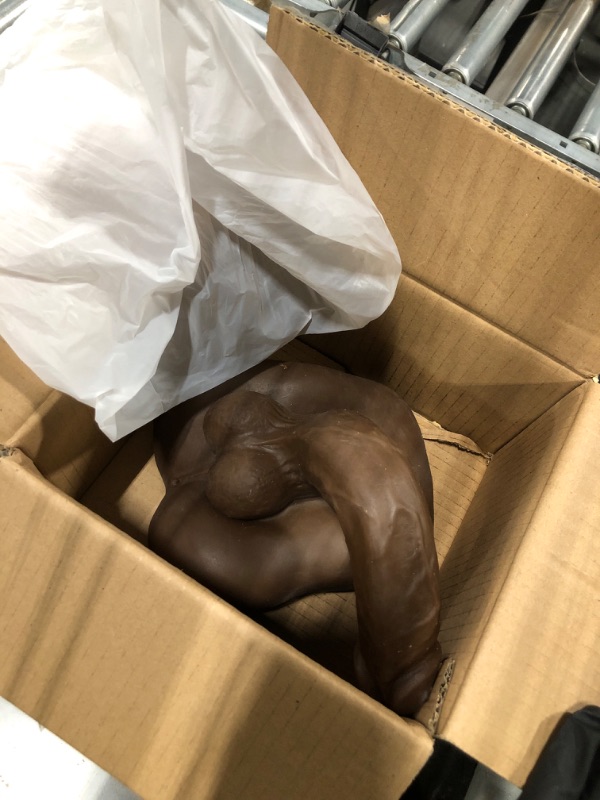 Photo 3 of Excellent Comfort Male Torso Penis and Anal, Realistic, Soft,Waterproof, Realistic Dildos 1 Count (Pack of 1) Brown