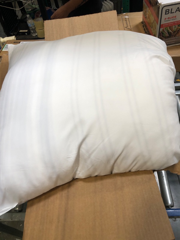 Photo 1 of 1 White Pillow 