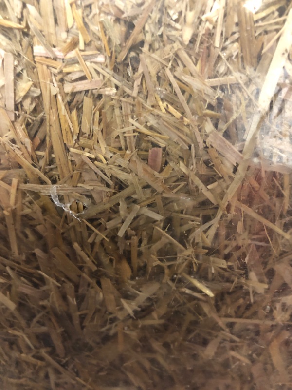 Photo 2 of Natures Premier Chopped Straw – Dust-Free Chopped Wheat Straw – Natural and Biodegradable Seeding Straw for Yard, Farms, Pets, Gardening, Landscaping – Made in USA (LARGE BAG - 16 lbs)