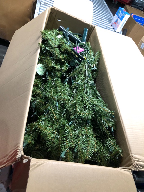 Photo 1 of 6ft National Christmas Tree Company Pre-Lit Dunhill Fir Artificial Christmas Tree with 600 Clear Lights