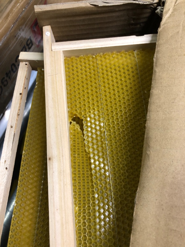Photo 1 of 20 Pack Bee Hive Frames and Wax Foundations Assembled Deep Beehive Frames 19.21 x 9.25 in Deep Beehive Brood Frames with Wax Foundations Wooden Pure Natural Beeswax Coated Foundation for Beekeeping