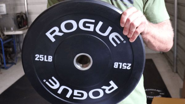 Photo 1 of 25LB Rogue Echo PLATE