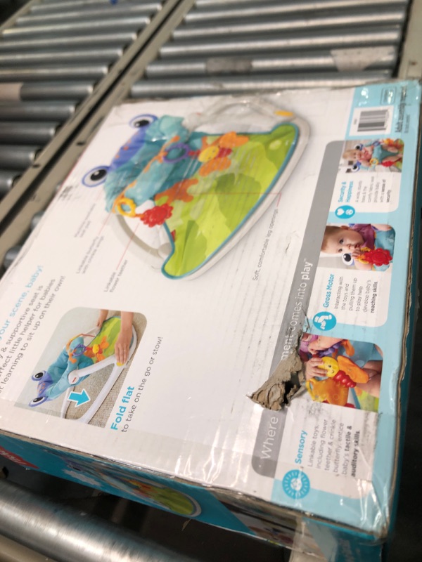 Photo 1 of Fisher-Price Sit-Me-Up Floor Seat - Frog, portable baby chair with toys Frog (Standard Packaging)