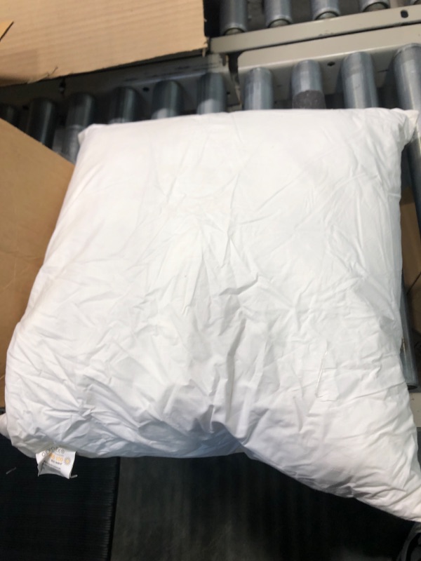 Photo 1 of 2 pillows