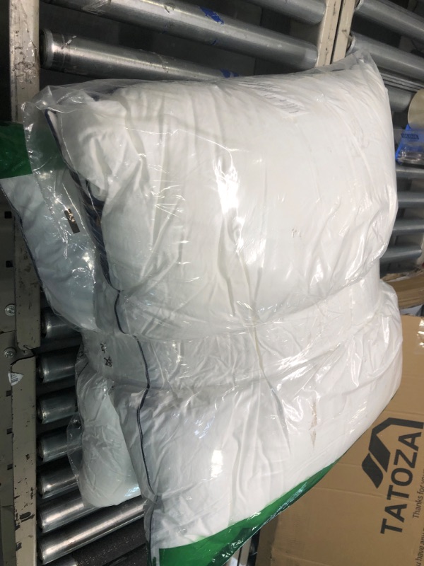 Photo 1 of 2 LARGE PILLOWS