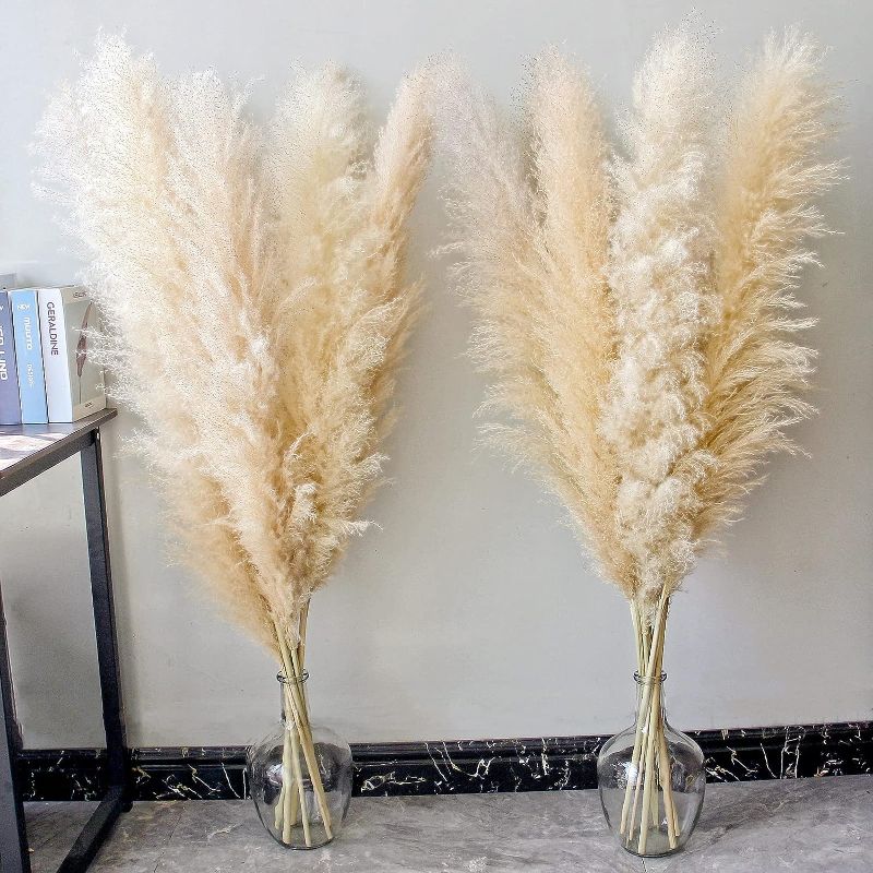 Photo 1 of 46" inch 10 Stems Natural Pampas Grass Decor Tall, pompas Grass, Tall Pampas Grass for Wedding, Party, Farmhouse, Boho Home Decor