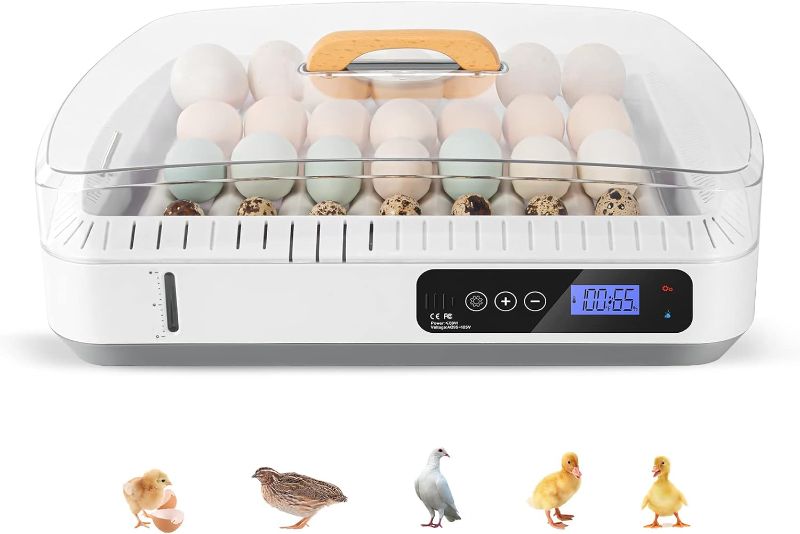 Photo 1 of Altrapow 36 Egg Incubator with Automatic Egg Turning, Temperature Control, Water Alarm, Incubator for Hatching Eggs Chickens, Ducks, Geese,and Quail Eggs
