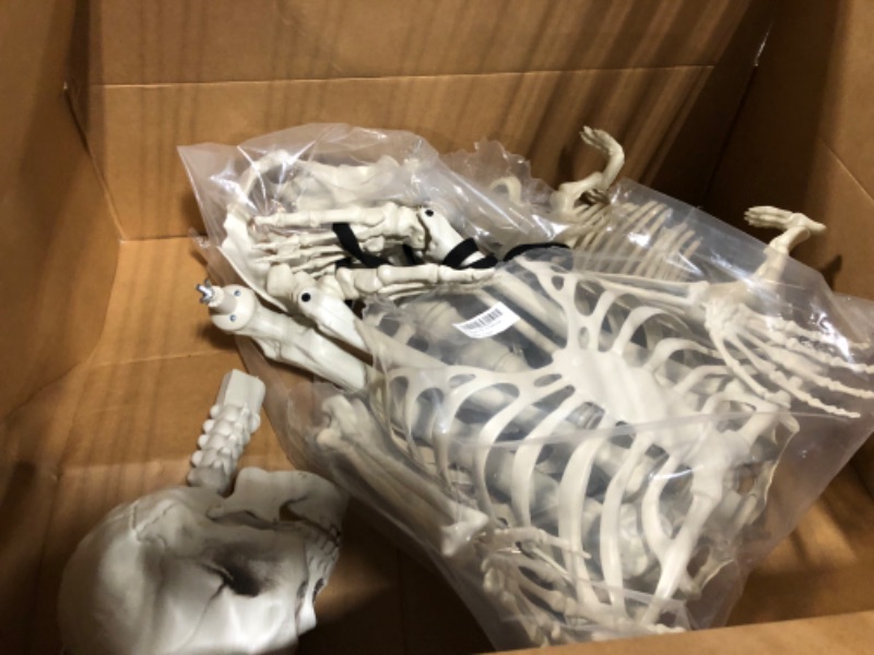 Photo 3 of 5.4Ft Halloween Life Size Human Skeletons with Dog Skeleton,Poseable Life Size Skeletons Plastic Human Bones with Movable Joints for Halloween Decoration Halloween Human Skeletons Dog skeleton