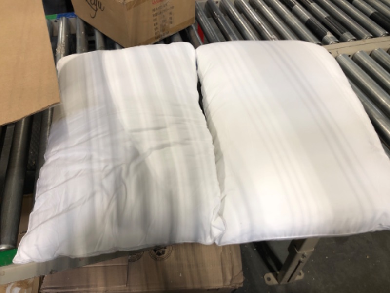 Photo 1 of 2 white pillows