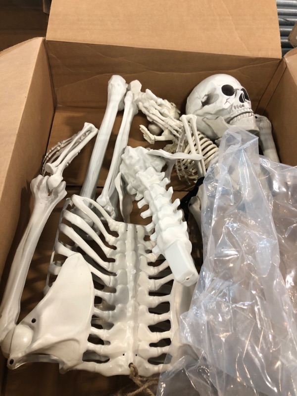 Photo 1 of 5.4Ft Halloween Life Size Human Skeletons with Dog Skeleton,Poseable Life Size Skeletons Plastic Human Bones with Movable Joints for Halloween Decoration Halloween Human Skeletons Dog skeleton