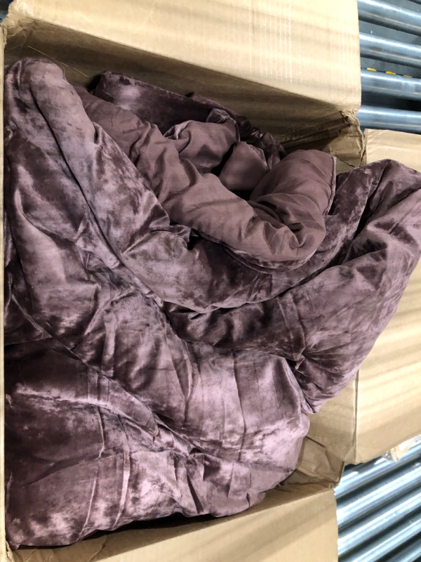 Photo 3 of Sunshine Nicole Distressed Velvet Comforter Set, Distressed Velvet Face and Brushed Solid Microfiber Reverse, with Light Weight Soft Poly Fill, 5 Pieces Brown, Queen