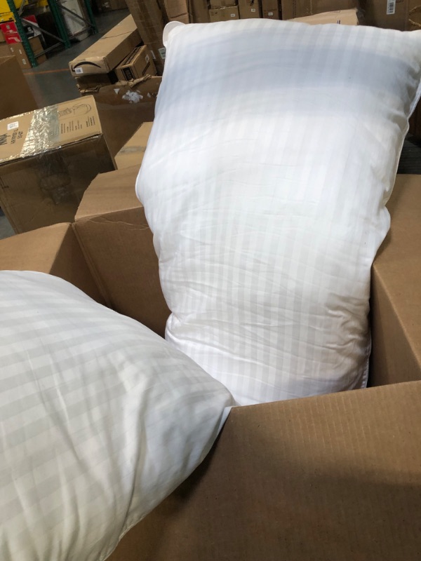 Photo 1 of 2 Pillows 34 x 18 in