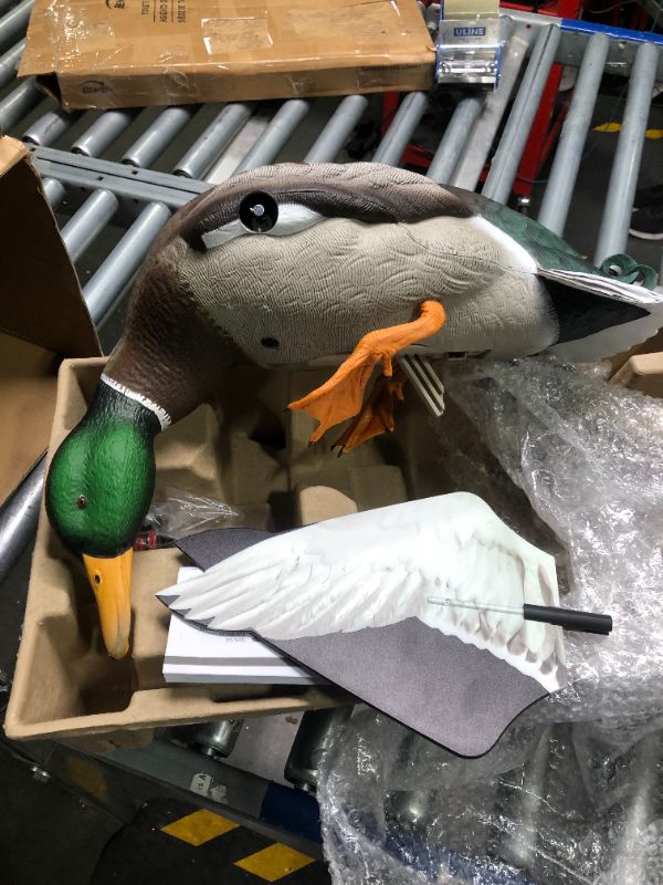 Photo 5 of Avian-X PowerFlight Mallard Decoy | Spinning Wing Duck Decoy