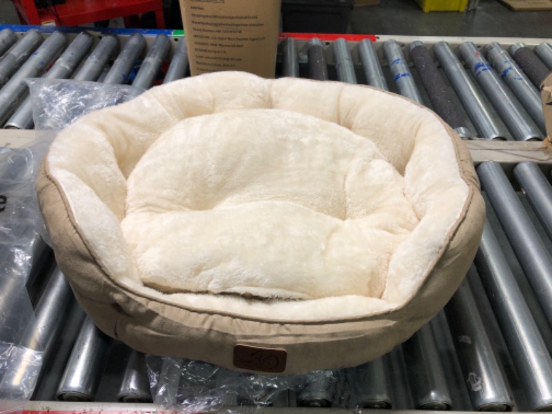 Photo 1 of Bedsure Small Dog Bed for Small Dogs Washable - Round Cat Beds for Indoor Cats, Round Pet Bed for Puppy and Kitten with Slip-Resistant Bottom, 20-25 Inches 20x19x6 Inch (Pack of 1) Camel