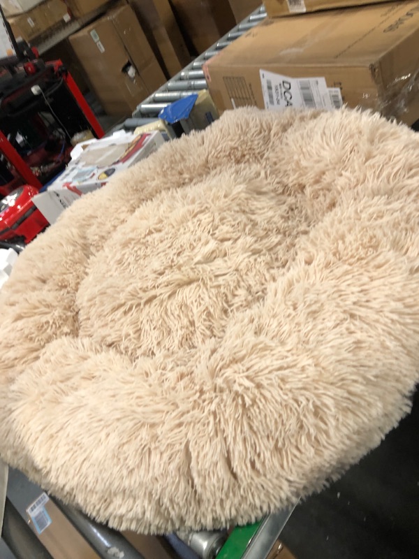 Photo 1 of Best Friends by Sheri The Original Calming Donut Dog Bed & Throw Dog Blanket, Taupe, Small