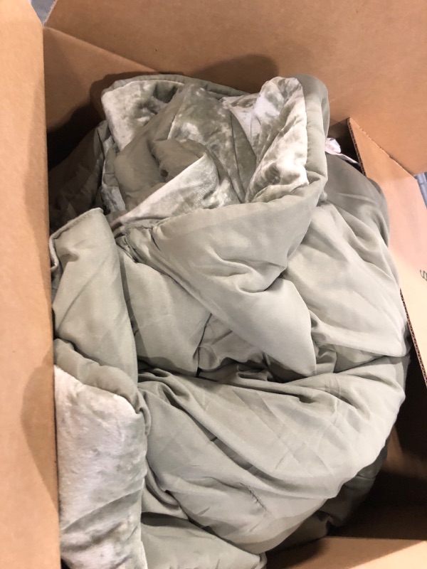 Photo 1 of Sunshine Nicole Distressed Velvet Comforter Set, Distressed Velvet Face and Brushed Solid Microfiber Reverse, with Light Weight Soft Poly Fill, 5 Pieces Restful Green, King Restful Green King