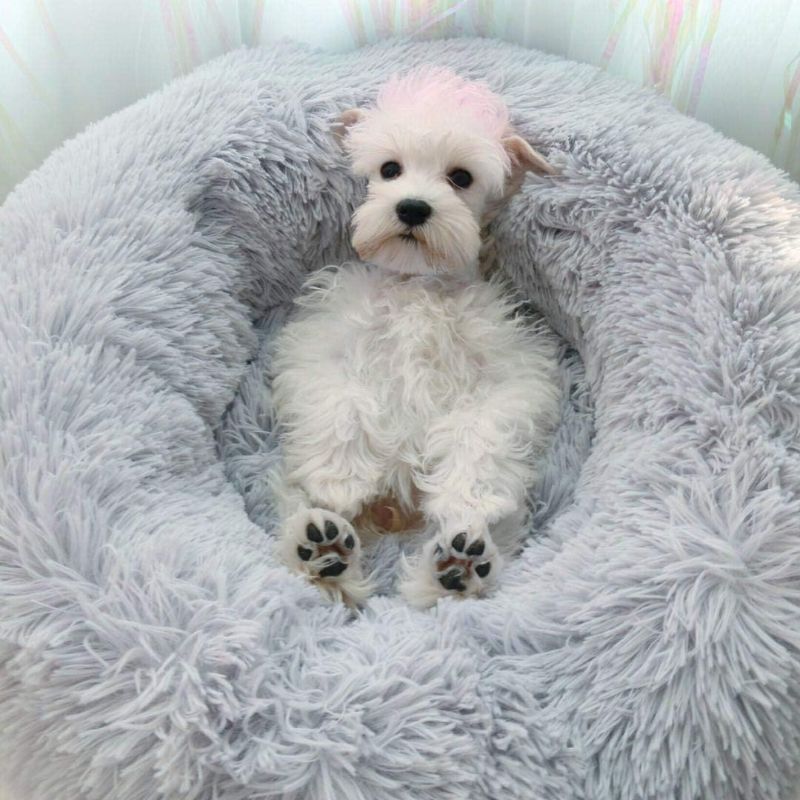 Photo 1 of 
Soft Plush Round Pet Bed For Cats Or Small Dogs, Cat Bed Self Warming Autumn Winter