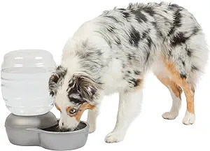 Photo 1 of Petmate Replendish Automatic Gravity Waterer for Cats and Dogs, BPA-Free, No Batteries Required, Includes Charcoal Filter, 2.5 Gallons, Made in USA,Silver
