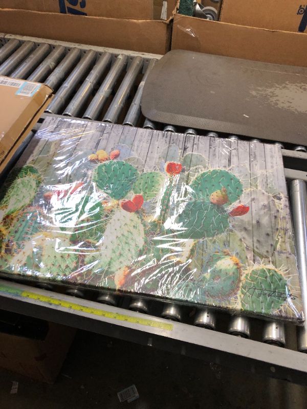 Photo 1 of 31x24 CACTUS PAINTING 