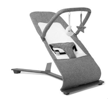 Photo 1 of Baby Delight Go with Me Alpine - Deluxe Portable Bouncer in Charcoal Tweed - for
