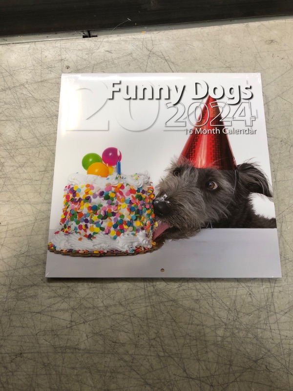 Photo 1 of 2024 FUNNY DOG CALENDAR 