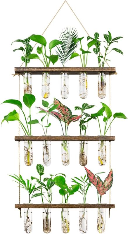 Photo 1 of 3 Tier Large Propagation Stations Wall Hanging Plant Terrarium 