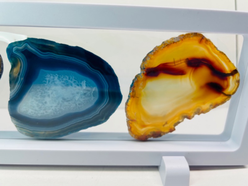 Photo 3 of 625822…3 agate slices in 9 x 4” display 