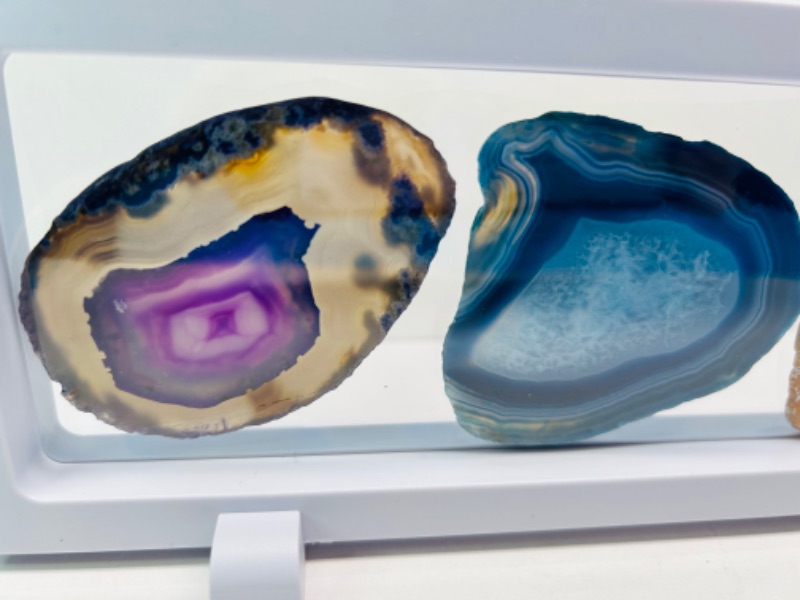 Photo 2 of 625822…3 agate slices in 9 x 4” display 