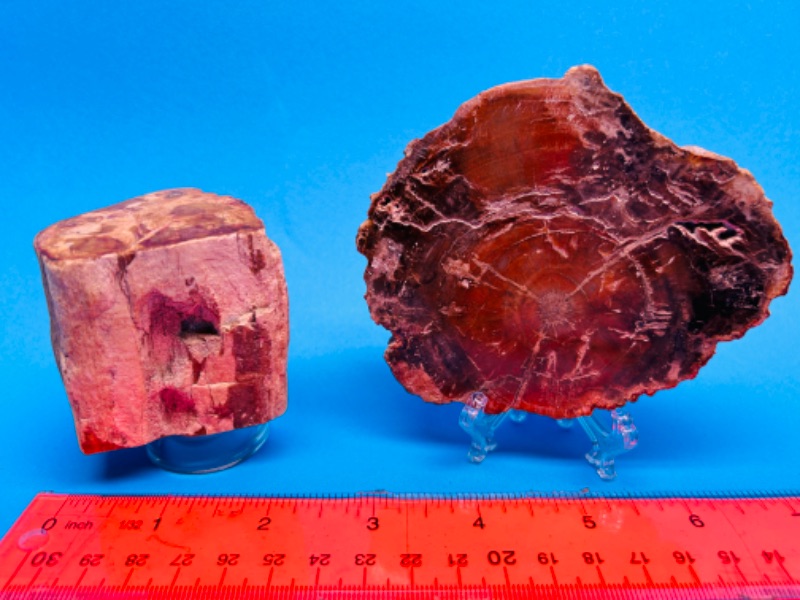 Photo 3 of 625824…petrified wood chunk and slice with displays 