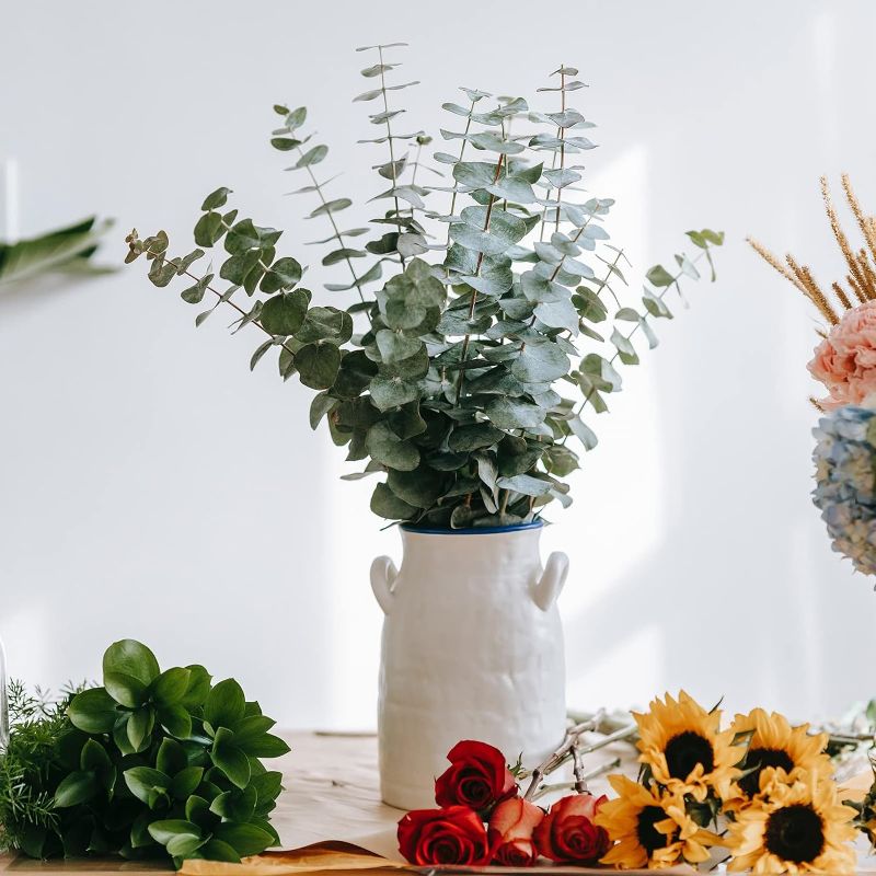 Photo 1 of 12 Stems Dried Eucalyptus, Natural Eucalyptus Leaves for Home Decor and Wedding Arrangement, Dried Real Eucalyptus Branches for DIY Dried Flower Bouquet (Natural-2) 
(VASE NOT INCLUDED!)