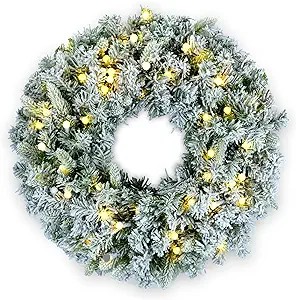 Photo 1 of 24" Snowy Flocked Christmas Wreath with 50 Count Multicolor Raspberry Lights, Lighted Artificial Holiday Wreath with UL Listed Plug-in G12 LED String Lights (Multicolor G12)
