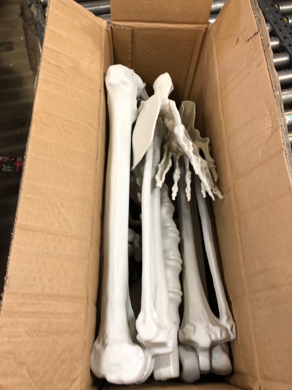 Photo 1 of 5.4Ft Halloween Skeleton, Halloween Life Size Skeleton Full Body Human Skeleton Halloween Decoration, Plastic Skeletons with Movable Joints for Graveyard Prop, Indoor Outdoor Haunted House Party Decor