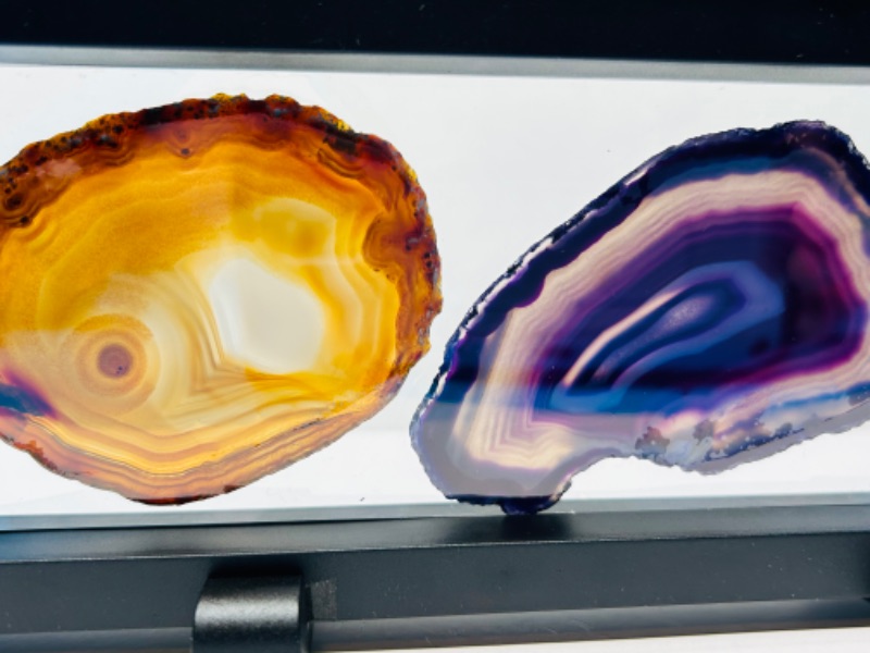 Photo 2 of 662528… 3 agate slices in 9 x 4” display 