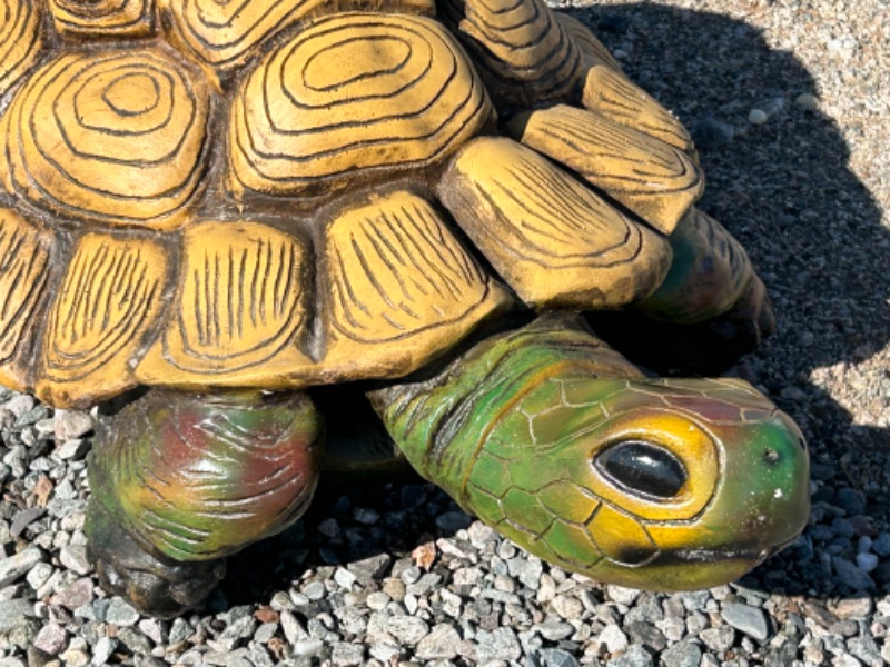 Photo 1 of 662634…XXLARGE 2foot 6” L  x 1foot 6” W  x 14” H plaster garden turtle statue 