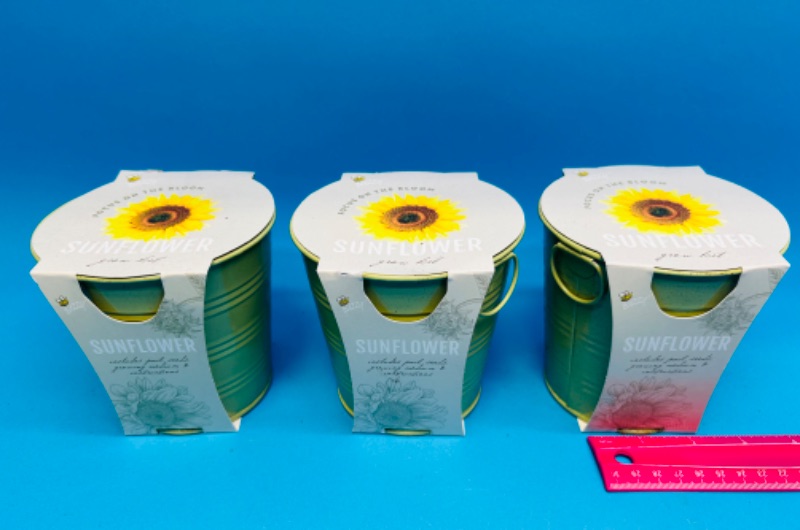 Photo 1 of 662700… 3 sunflower flower grow kits 