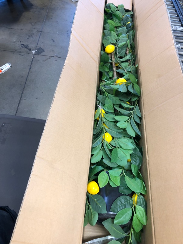 Photo 1 of YOLEO 5FT Artificial Lemon Tree Fake Tree with 18 Lifelike Lemons Faux Plant for Living Room Bedroom Balcony Corner Office Decor(2 Pack) Polyester 5FT