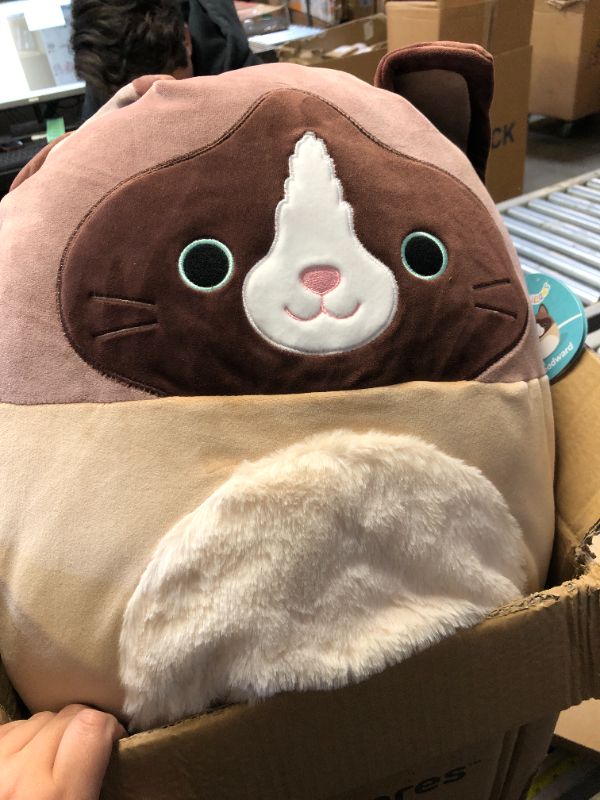 Photo 2 of Squishmallows Original 16-Inch Woodward Snowshoe Cat with Fuzzy Belly - Official Jazwares Large Plush